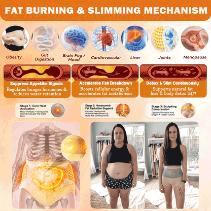 模板图版PAURAJU® 30-Min All-in-One Micro-Particle Fat-Burning Shorts✅Ignites deep microcirculation to melt fat, flush toxins, and reverse metabolic aging.
